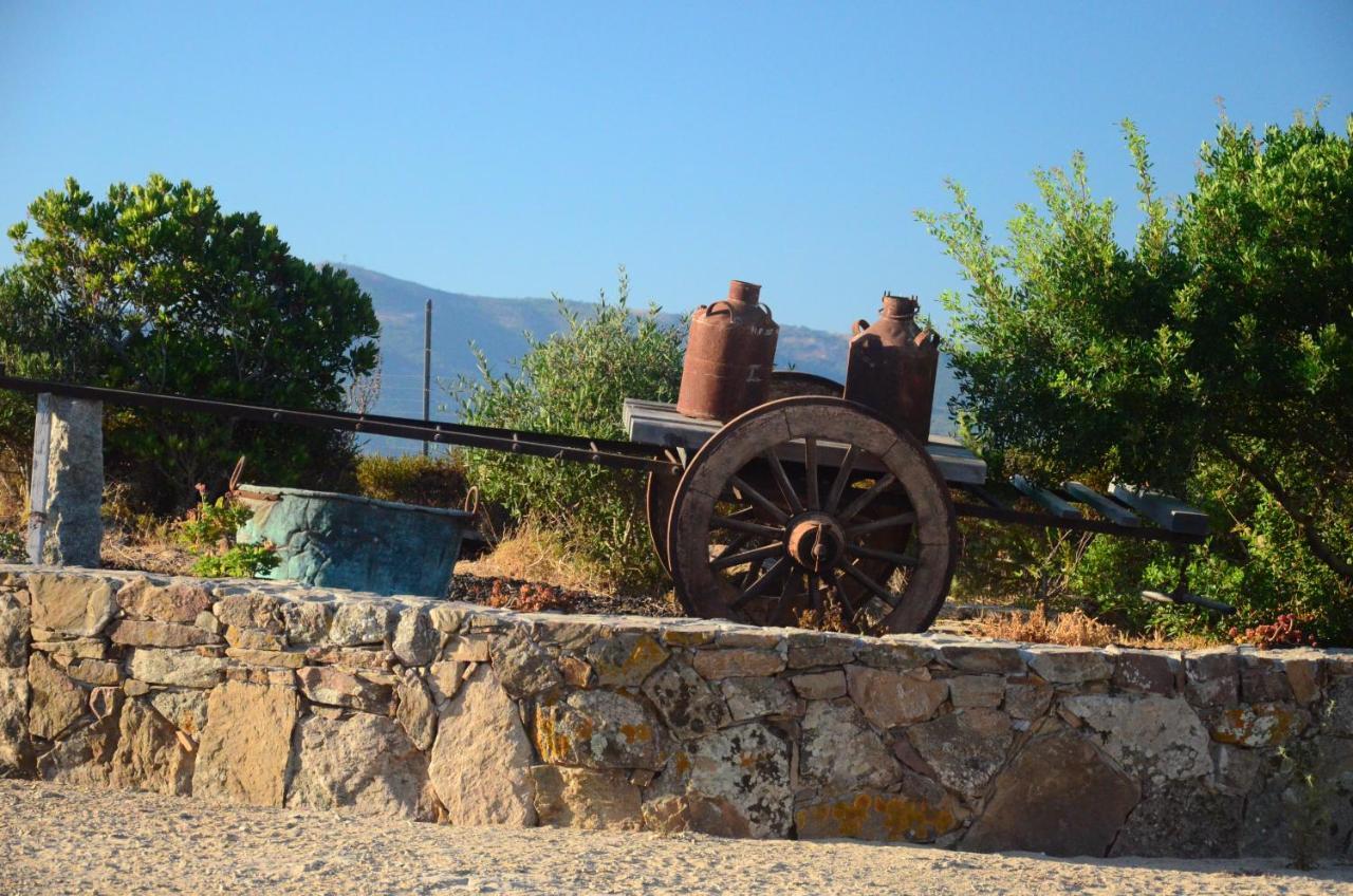 Agriturismo Costa Verde 阿勃丝 外观 照片