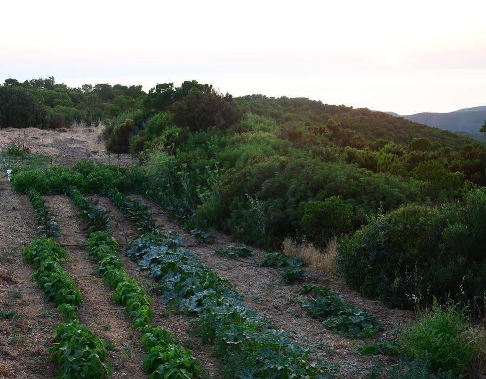 Agriturismo Costa Verde 阿勃丝 外观 照片